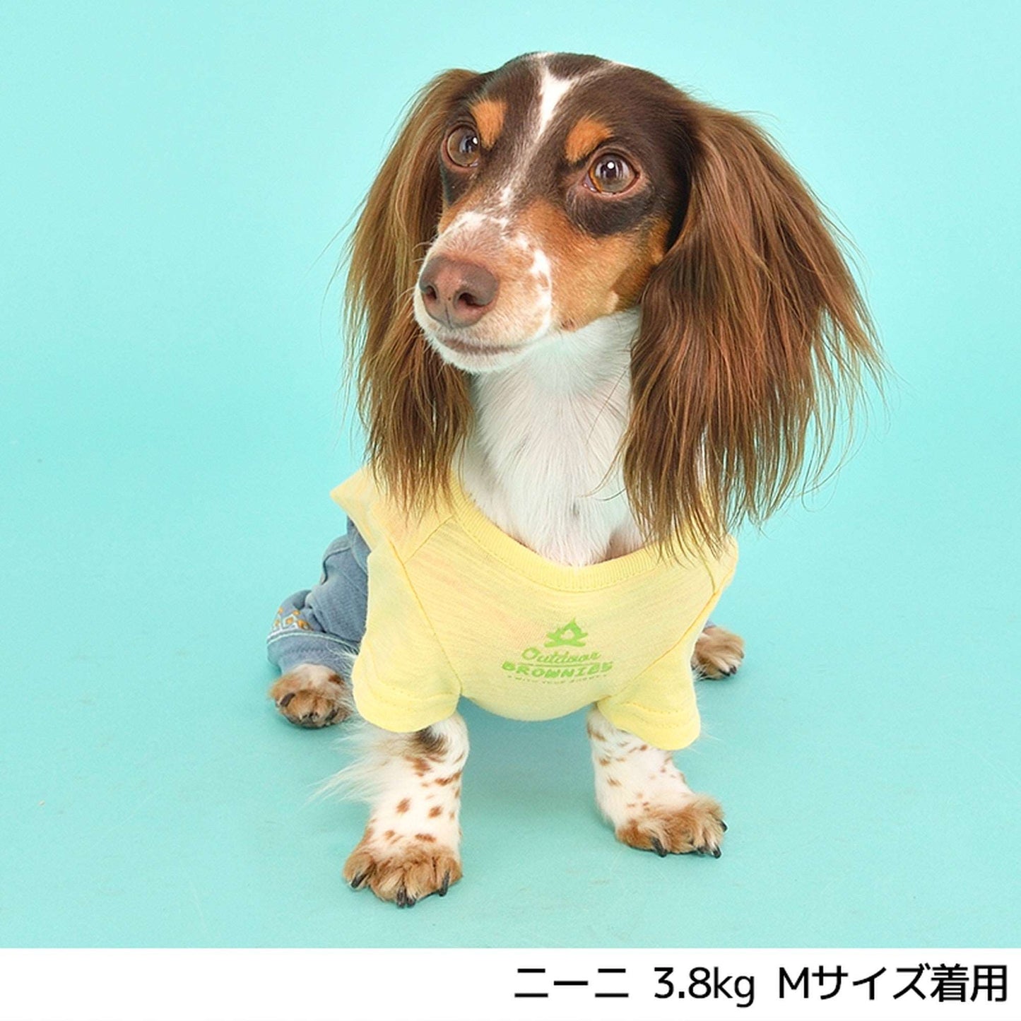 しろくまさんとドライブTシャツ S/M/L/2L/3L BROWNIE'S-ブラウニーズ- 犬服 ドッグウェア トイプードル チワワ ポメラニアン br151606-1 BR21SS