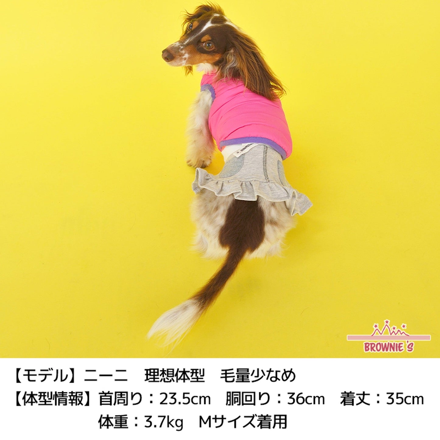 ポーチ付き中綿コート S/M/L/XL/XXL BROWNIE'S-ブラウニーズ- 犬服 ドッグウェア トイプードル チワワ ポメラニアン BR21AW br152651-1