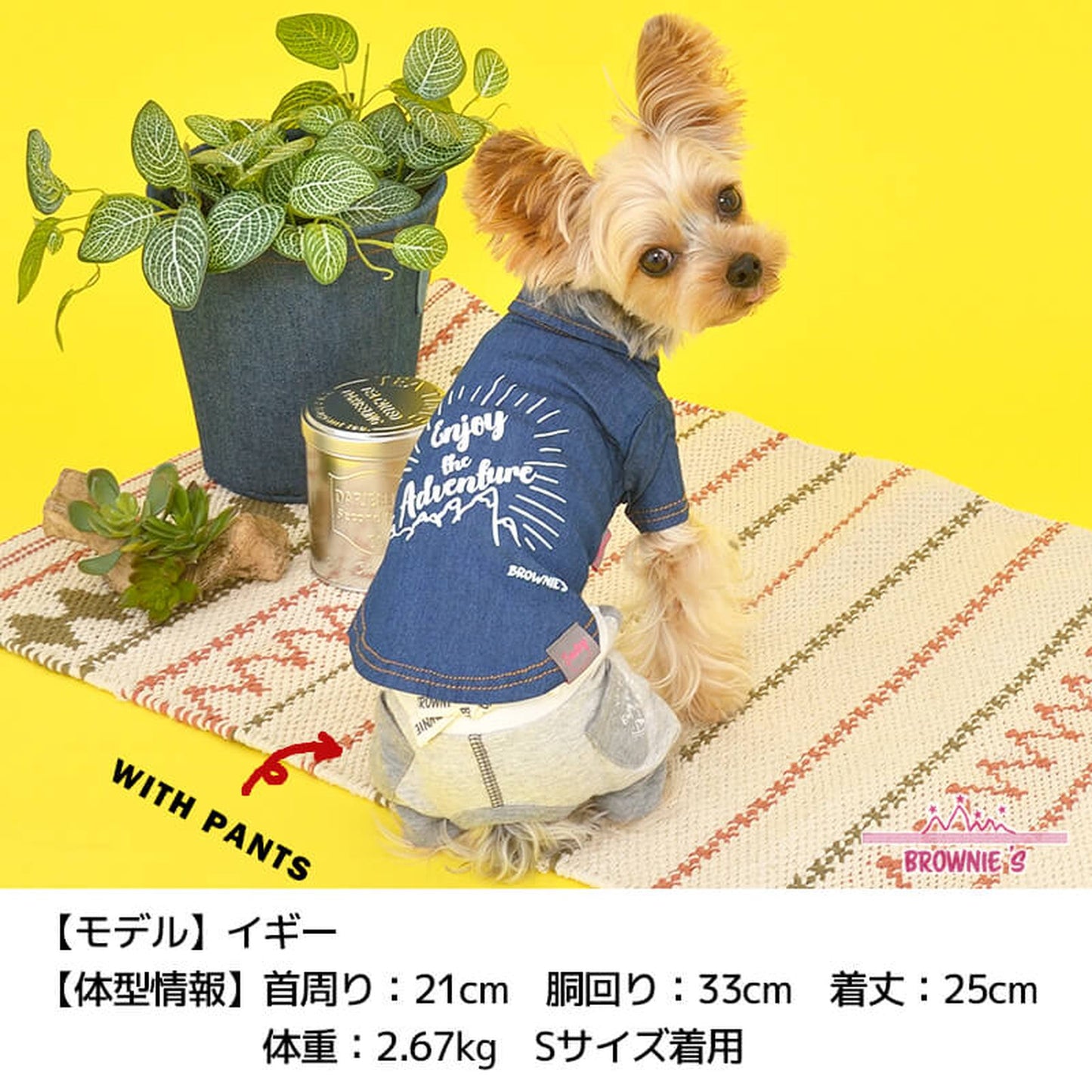 マウンテンデニムシャツ S/M/L/XL/XXL BROWNIE'S-ブラウニーズ- 犬服 ドッグウェア トイプードル チワワ ポメラニアン BR22SS br162684-1