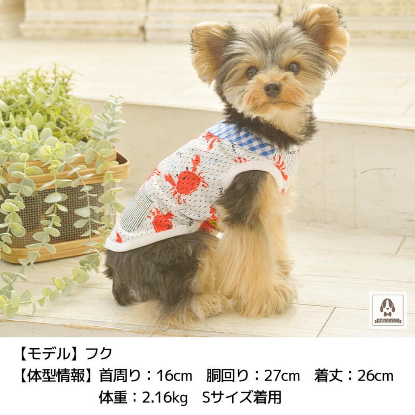 カニメッシュタンク S/M/L/XL Dulce-ドゥルチェ- 犬服 ドッグウェア トイプードル チワワ ポメラニアン DU22SS du161062-1