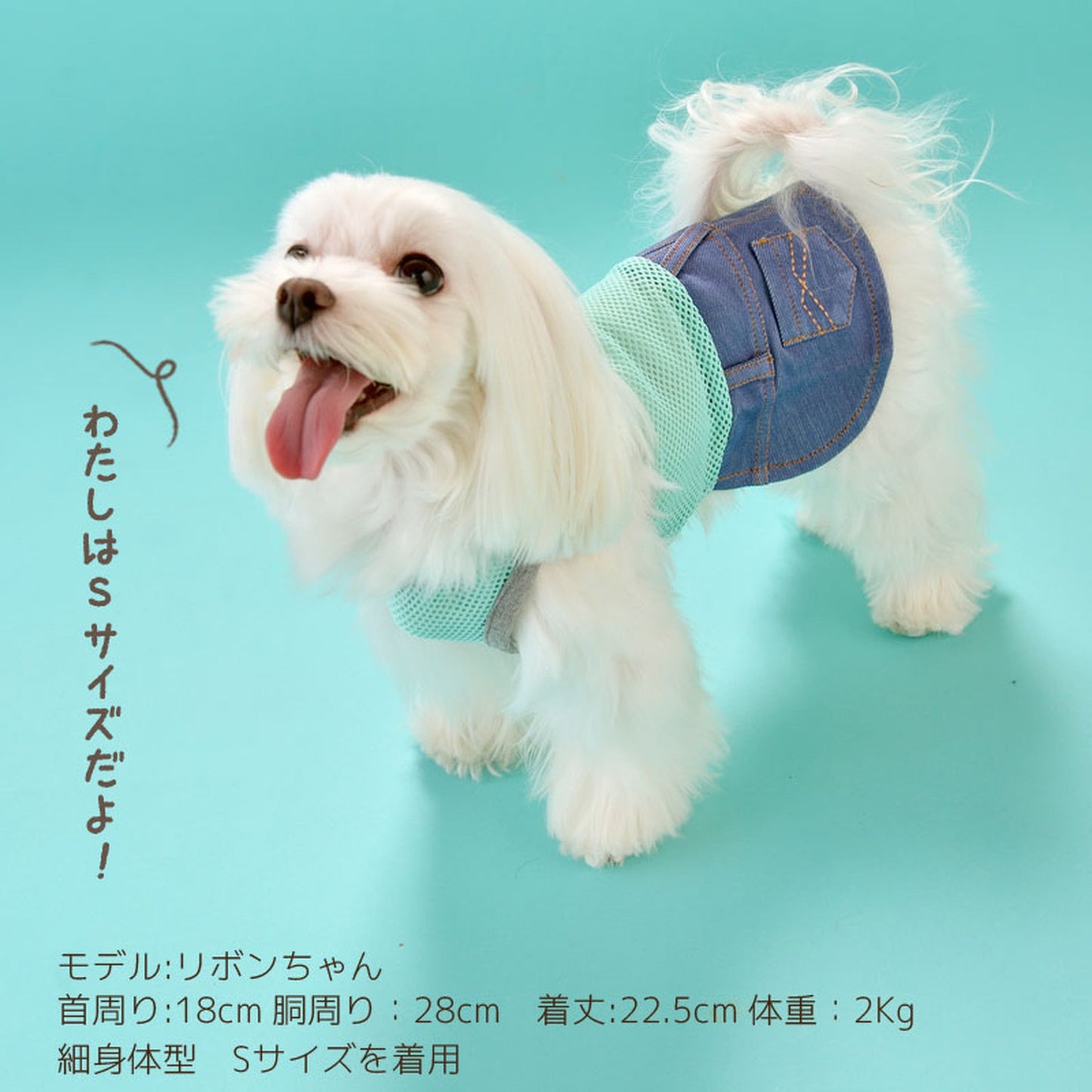 メッシュロンパース・ワンピース 犬服 ドッグウェア S/M/L/XL/XXL ワンボヤージュ ブラウニーズ トイプードル チワワ ダックス br133553-1
