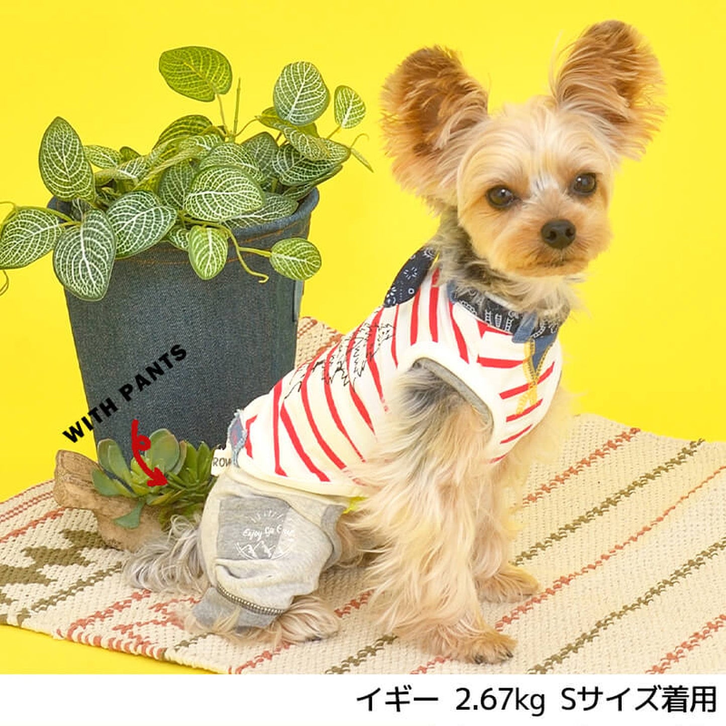 森でキャンプバンダナタンク S/M/L/XL/XXL BROWNIE'S-ブラウニーズ- 犬服 ドッグウェア トイプードル チワワ ポメラニアン BR22SS br161671-1