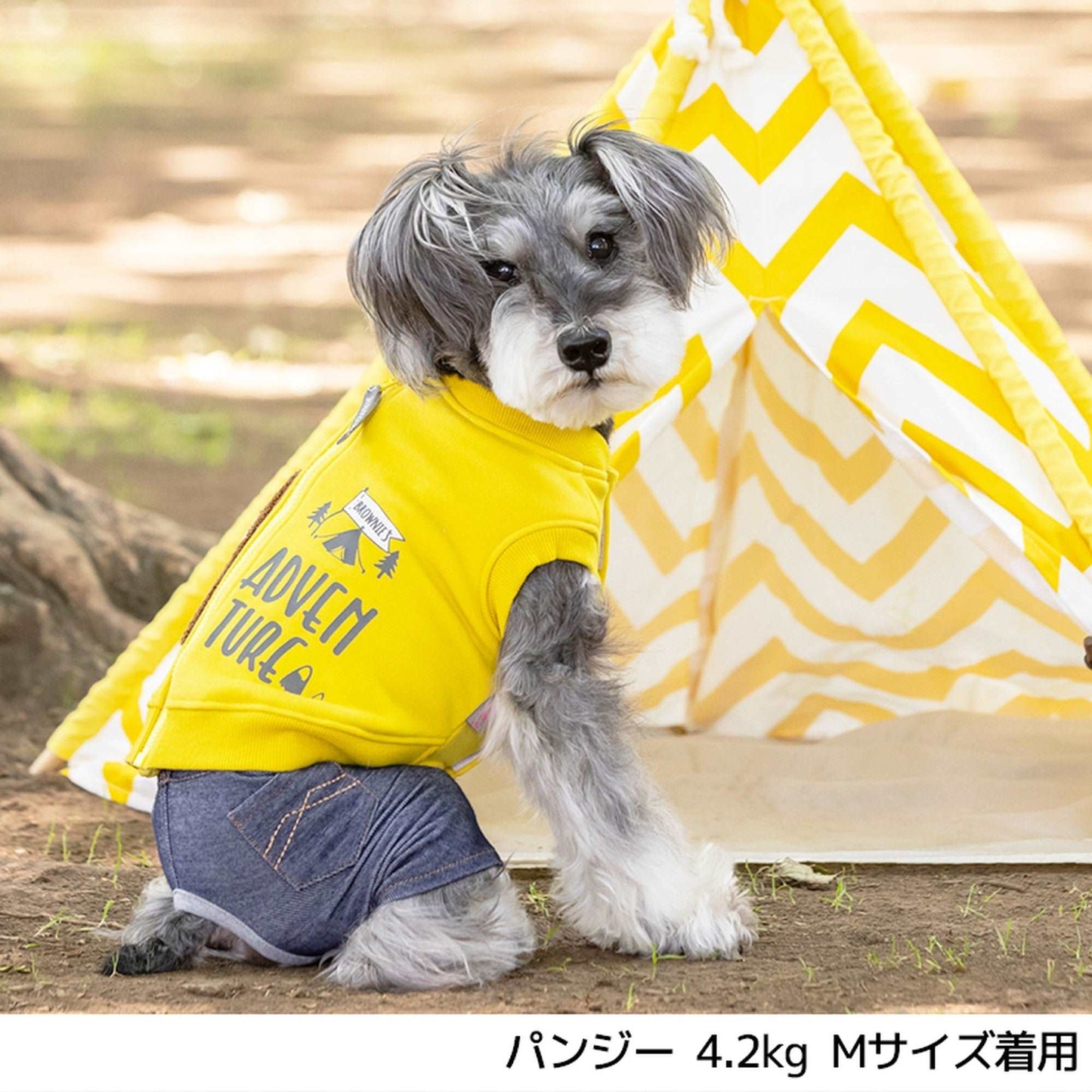 くまさんとキャンプベスト S/M/L/XL/XXL BROWNIE'S-ブラウニーズ- 犬服 ドッグウェア トイプードル チワワ ポメラニアン BR21AW br152643-1