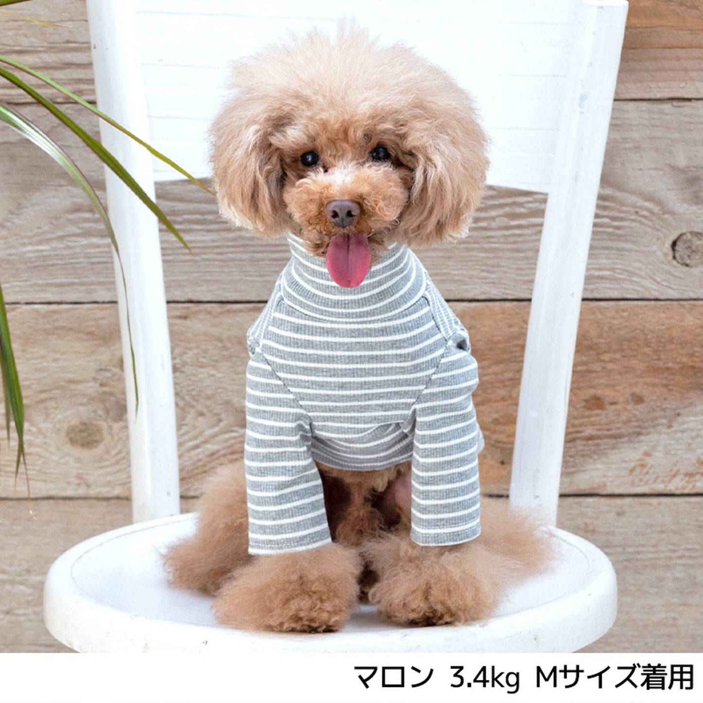 JE241 ボーダーロング袖 XS/S/M/L/XL Jekyll Egg-ジキルエッグ- 犬服 長袖 ドッグウェア トイプードル チワワ ポメラニアン JE21AW je151241-1