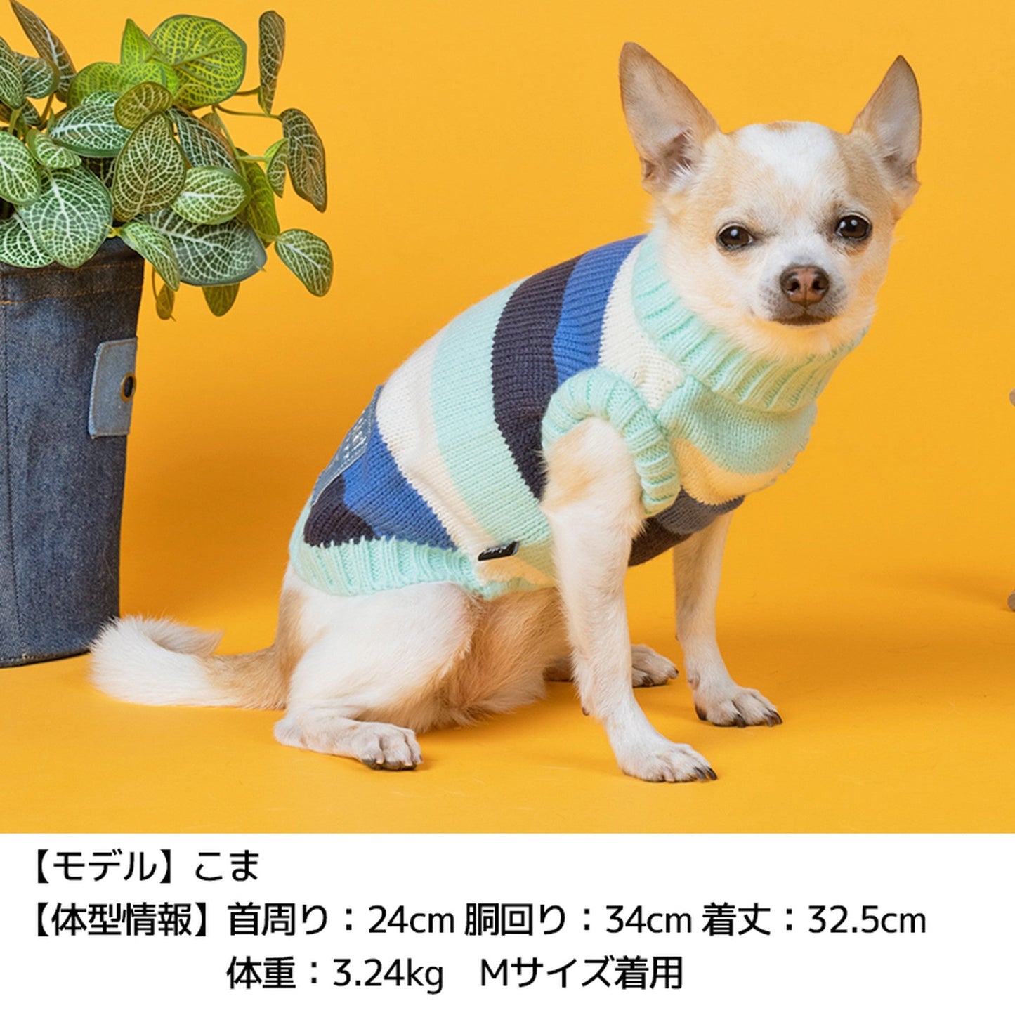 カラフルボーダーニット XL/XXL/DS/DM D's Chat-ディーズチャット- 犬服 ドッグウェア トイプードル チワワ ポメラニアン DS21AW ds152106-2