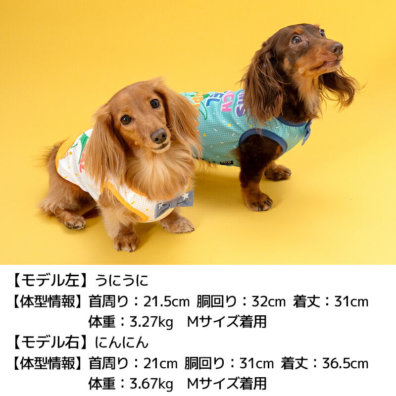 トロピカルメッシュタンク XS/S/M/L/XL/XXL/DXS/DS/DM/DL/FBS/FBM/FBL D's Chat-ディーズチャット- 犬服 小型犬 ドッグウェア DS24SS ds241204-1