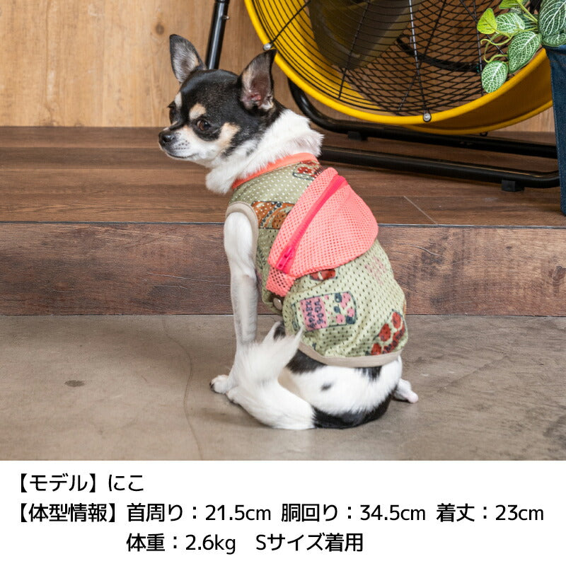 ショルダードリンク柄タンク XS/S/M/L/XL/XXL/DXS/DS/DM/DL/FBS/FBM/FBL D's Chat-ディーズチャット- 犬服 小型犬 ドッグウェア DS24SS ds241205-1