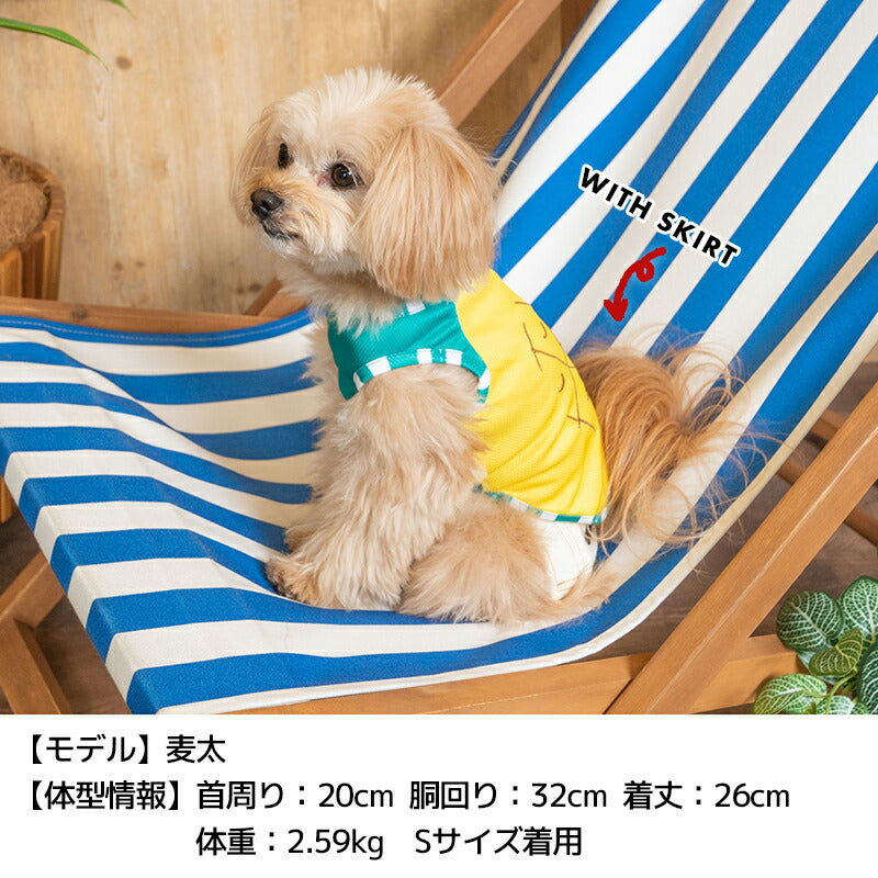 フルーツメッシュタンク XS/S/M/L/XL/XXL/DXS/DS/DM/DL/FBS/FBM/FBL D's Chat-ディーズチャット- 犬服 小型犬 ドッグウェア DS24SS ds241211-1