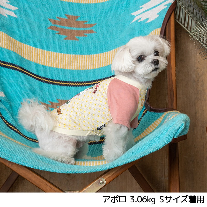 ソーダプリントTシャツ XS/S/M/L/XL/XXL/DXS/DS/DM/DL/FBS/FBM/FBL D's Chat-ディーズチャット- 犬服 小型犬 ドッグウェア DS24SS ds241213-1