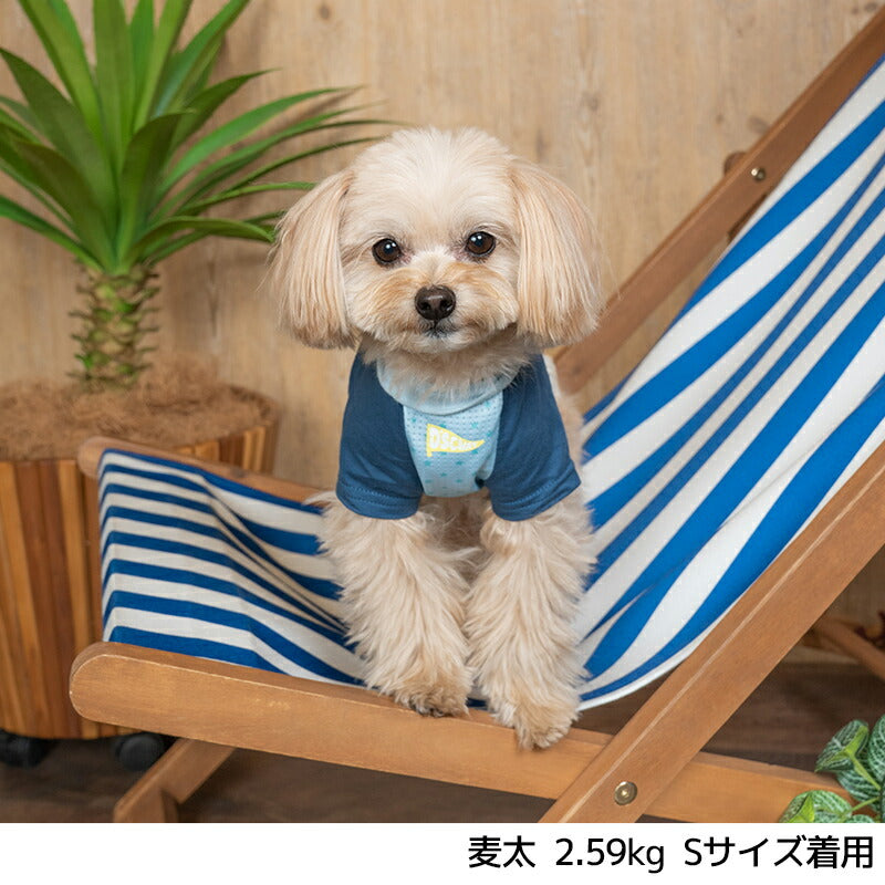 ソーダプリントTシャツ XS/S/M/L/XL/XXL/DXS/DS/DM/DL/FBS/FBM/FBL D's Chat-ディーズチャット- 犬服 小型犬 ドッグウェア DS24SS ds241213-1