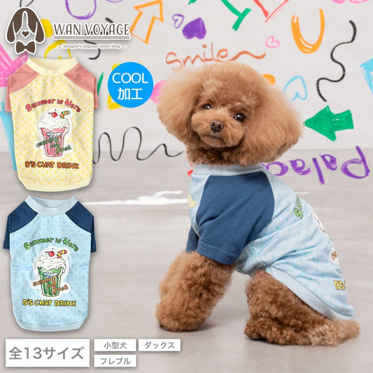 ソーダプリントTシャツ XS/S/M/L/XL/XXL/DXS/DS/DM/DL/FBS/FBM/FBL D's Chat-ディーズチャット- 犬服 小型犬 ドッグウェア DS24SS ds241213-1