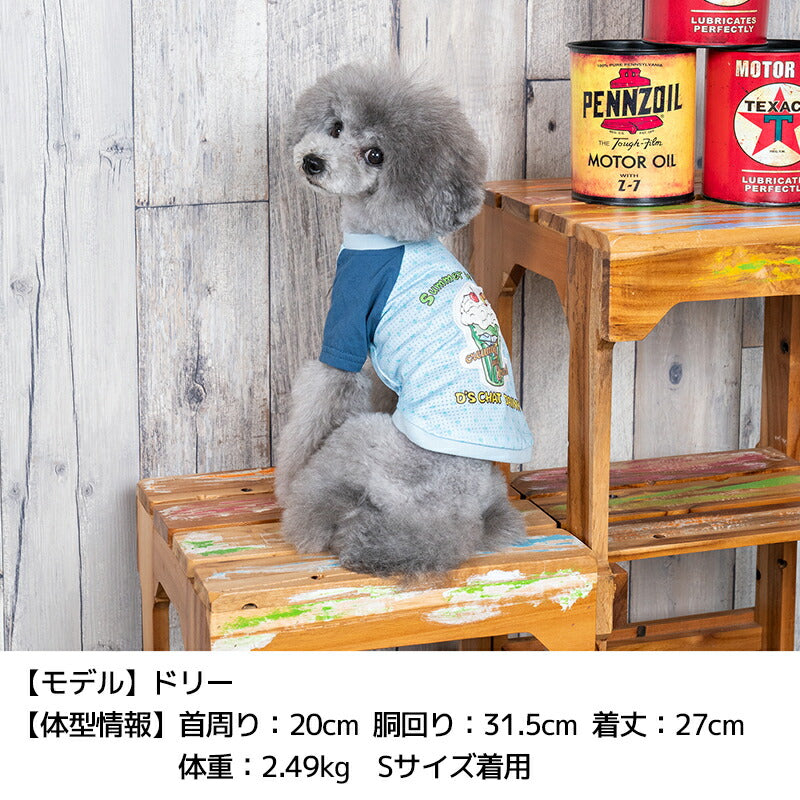 ソーダプリントTシャツ XS/S/M/L/XL/XXL/DXS/DS/DM/DL/FBS/FBM/FBL D's Chat-ディーズチャット- 犬服 小型犬 ドッグウェア DS24SS ds241213-1