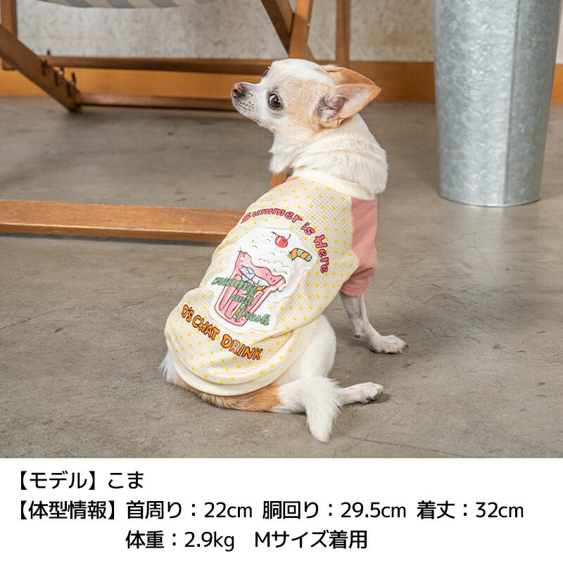 ソーダプリントTシャツ XS/S/M/L/XL/XXL/DXS/DS/DM/DL/FBS/FBM/FBL D's Chat-ディーズチャット- 犬服 小型犬 ドッグウェア DS24SS ds241213-1