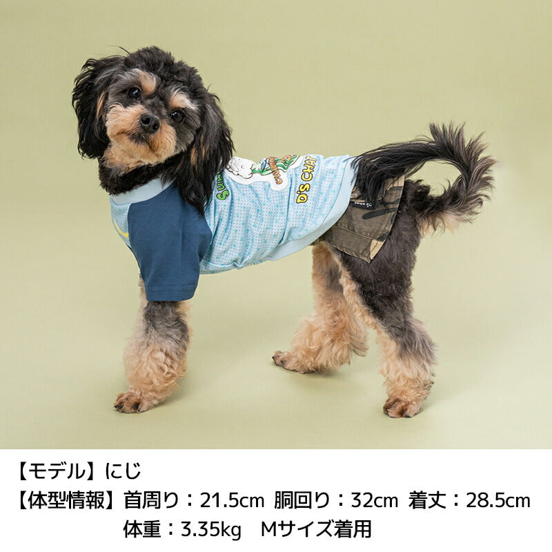 ソーダプリントTシャツ XS/S/M/L/XL/XXL/DXS/DS/DM/DL/FBS/FBM/FBL D's Chat-ディーズチャット- 犬服 小型犬 ドッグウェア DS24SS ds241213-1