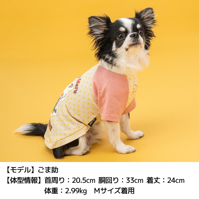 ソーダプリントTシャツ XS/S/M/L/XL/XXL/DXS/DS/DM/DL/FBS/FBM/FBL D's Chat-ディーズチャット- 犬服 小型犬 ドッグウェア DS24SS ds241213-1