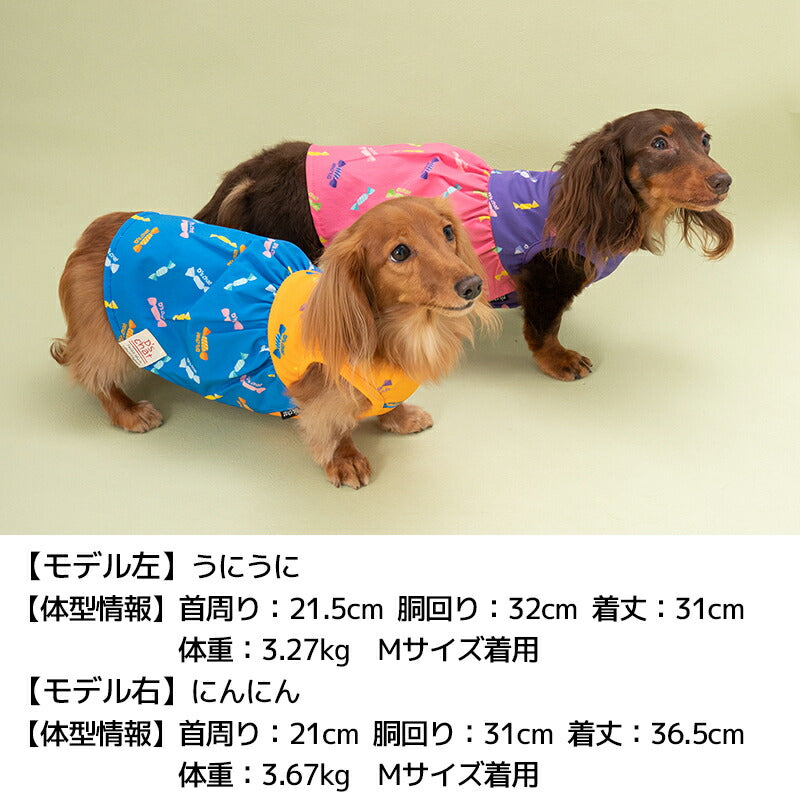 キャンディ柄ワンピ XS/S/M/L/XL D's Chat-ディーズチャット- 犬服 小型犬 ドッグウェア DS24SS ds241215-1