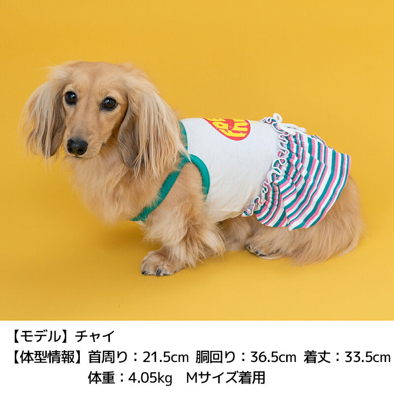 リブスカートキャミワンピ XS/S/M/L/XL D's Chat-ディーズチャット- 犬服 小型犬 ドッグウェア DS24SS ds241217-1