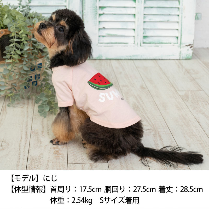 スイカめくりTシャツ S/M/L/XL Dulce-ドゥルチェ- 犬服 ドッグウェア トイプードル チワワ ポメラニアン DU23SS du231089-1