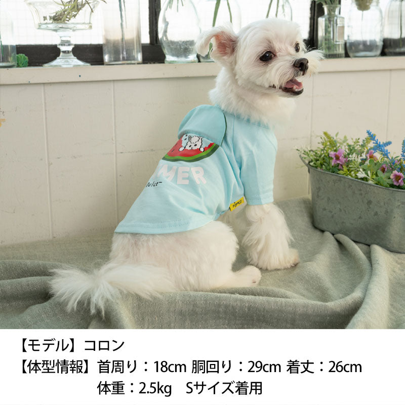 スイカめくりTシャツ S/M/L/XL Dulce-ドゥルチェ- 犬服 ドッグウェア トイプードル チワワ ポメラニアン DU23SS du231089-1