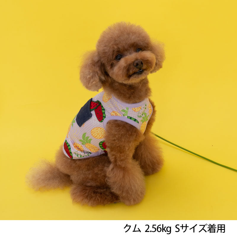 トロピカルメッシュタンク S/M/L/XL Dulce-ドゥルチェ- 犬服 ドッグウェア トイプードル チワワ ポメラニアン DU23SS du231093-1