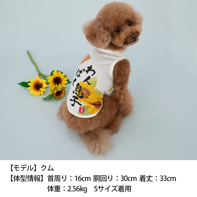 夏休みメッシュタンク S/M/L/XL Dulce-ドゥルチェ- 犬服 ドッグウェア トイプードル チワワ ポメラニアン DU23SS du231097-1