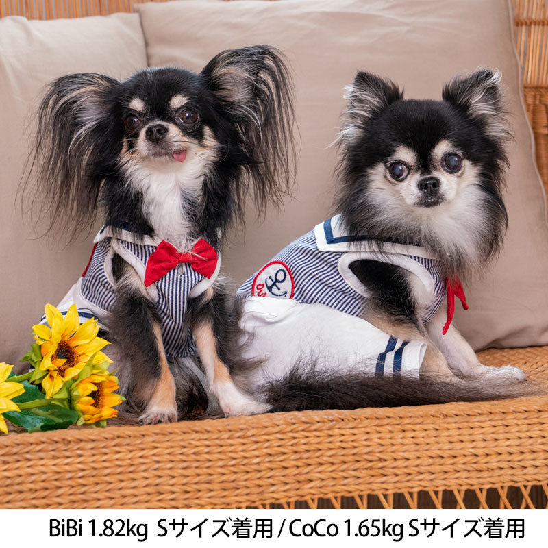 水兵セーラーつなぎ S/M/L/XL Dulce-ドゥルチェ- 犬服 ドッグウェア トイプードル チワワ ポメラニアン DU23SS du231098-1