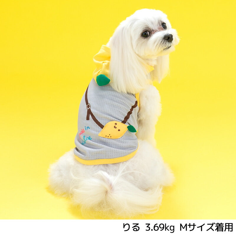 フルーツパーカ S/M/L/XL Dulce-ドゥルチェ- 犬服 ドッグウェア DU24SS du241119-1