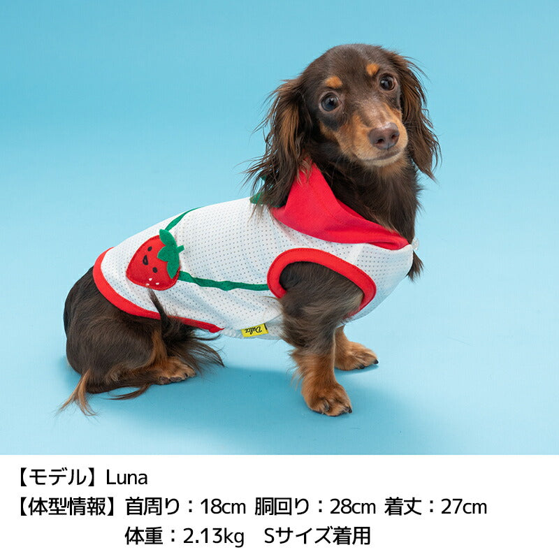 フルーツパーカ S/M/L/XL Dulce-ドゥルチェ- 犬服 ドッグウェア DU24SS du241119-1