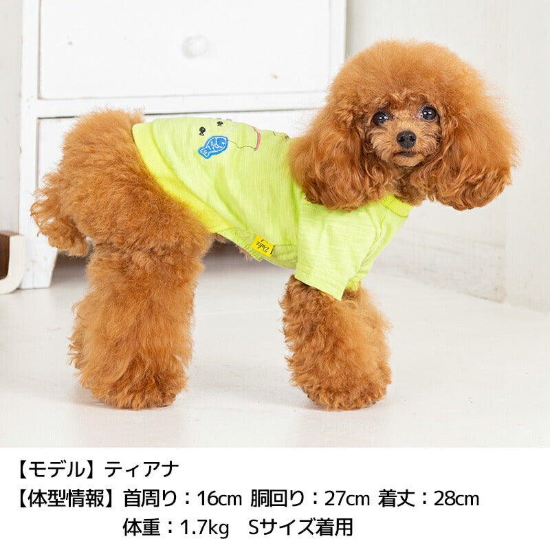 アルパカ魚釣りTシャツ S/M/L/XL Dulce-ドゥルチェ- 犬服 ドッグウェア DU24SS du241120-1