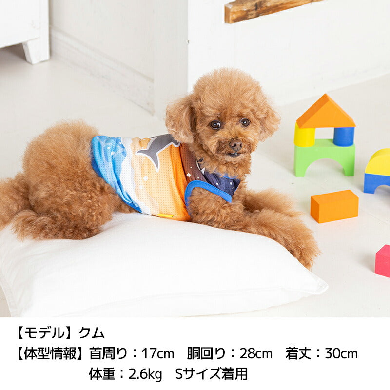 ぷっくりアップリケメッシュタンク S/M/L/XL Dulce-ドゥルチェ- 犬服 ドッグウェア DU24SS du241123-1