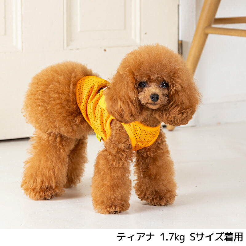 ペリカンメッシュタンク S/M/L/XL Dulce-ドゥルチェ- 犬服 ドッグウェア DU24SS du241124-1