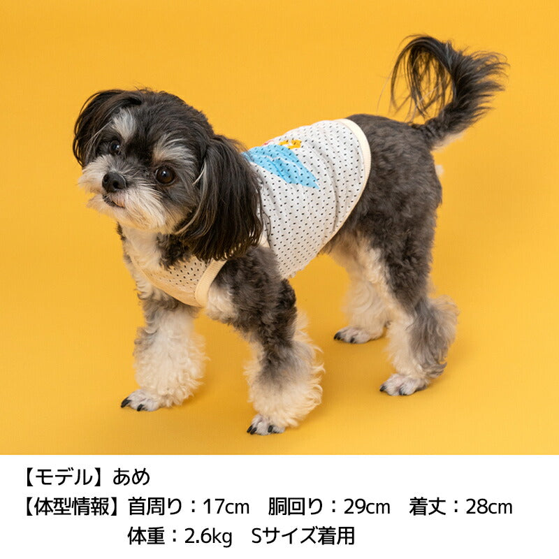 ペリカンメッシュタンク S/M/L/XL Dulce-ドゥルチェ- 犬服 ドッグウェア DU24SS du241124-1
