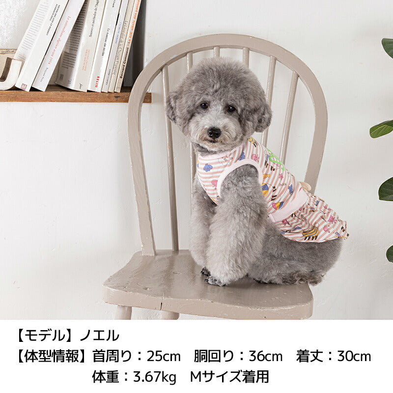 アルパカボーダーワンピ S/M/L/XL Dulce-ドゥルチェ- 犬服 ドッグウェア DU24SS du241127-1