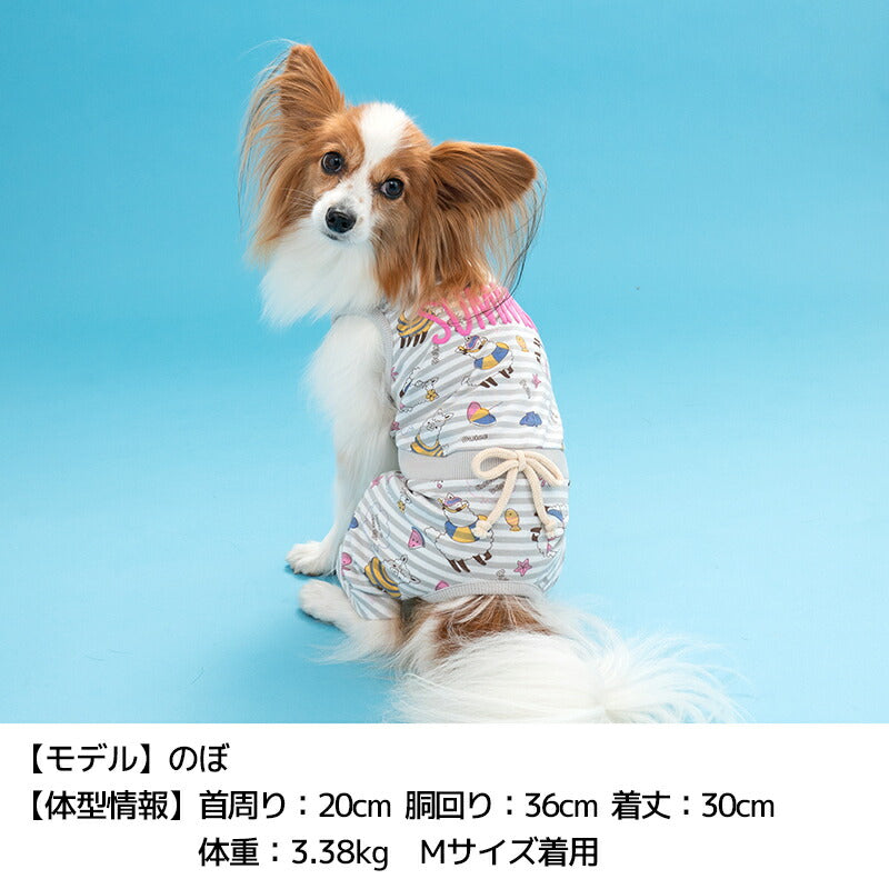 アルパカボーダーつなぎ S/M/L/XL Dulce-ドゥルチェ- 犬服 ドッグウェア DU24SS du241128-1