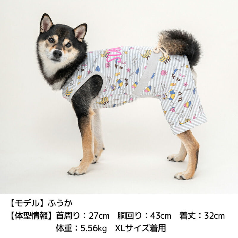 アルパカボーダーつなぎ S/M/L/XL Dulce-ドゥルチェ- 犬服 ドッグウェア DU24SS du241128-1