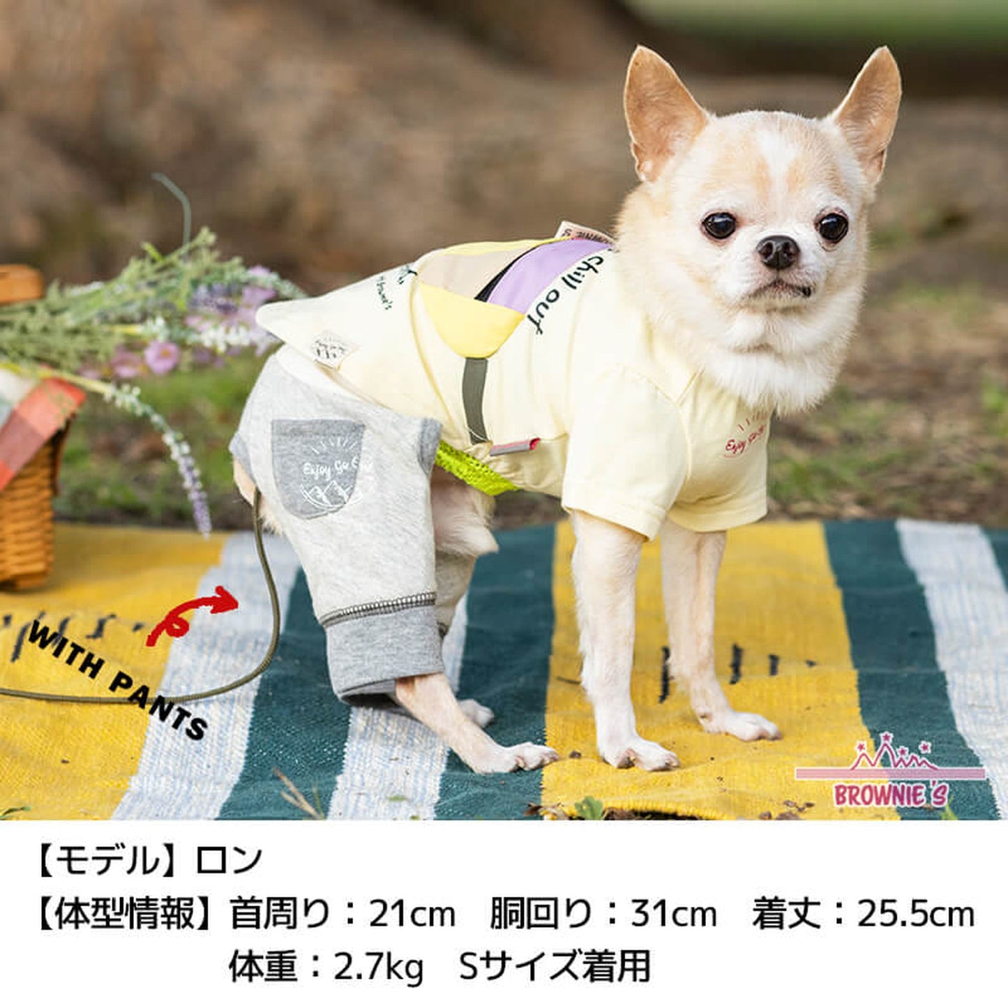 カラフルバッグTシャツ S/M/L/XL/XXL BROWNIE'S-ブラウニーズ- 犬服 ドッグウェア トイプードル チワワ ポメラニアン BR22SS br161674-1
