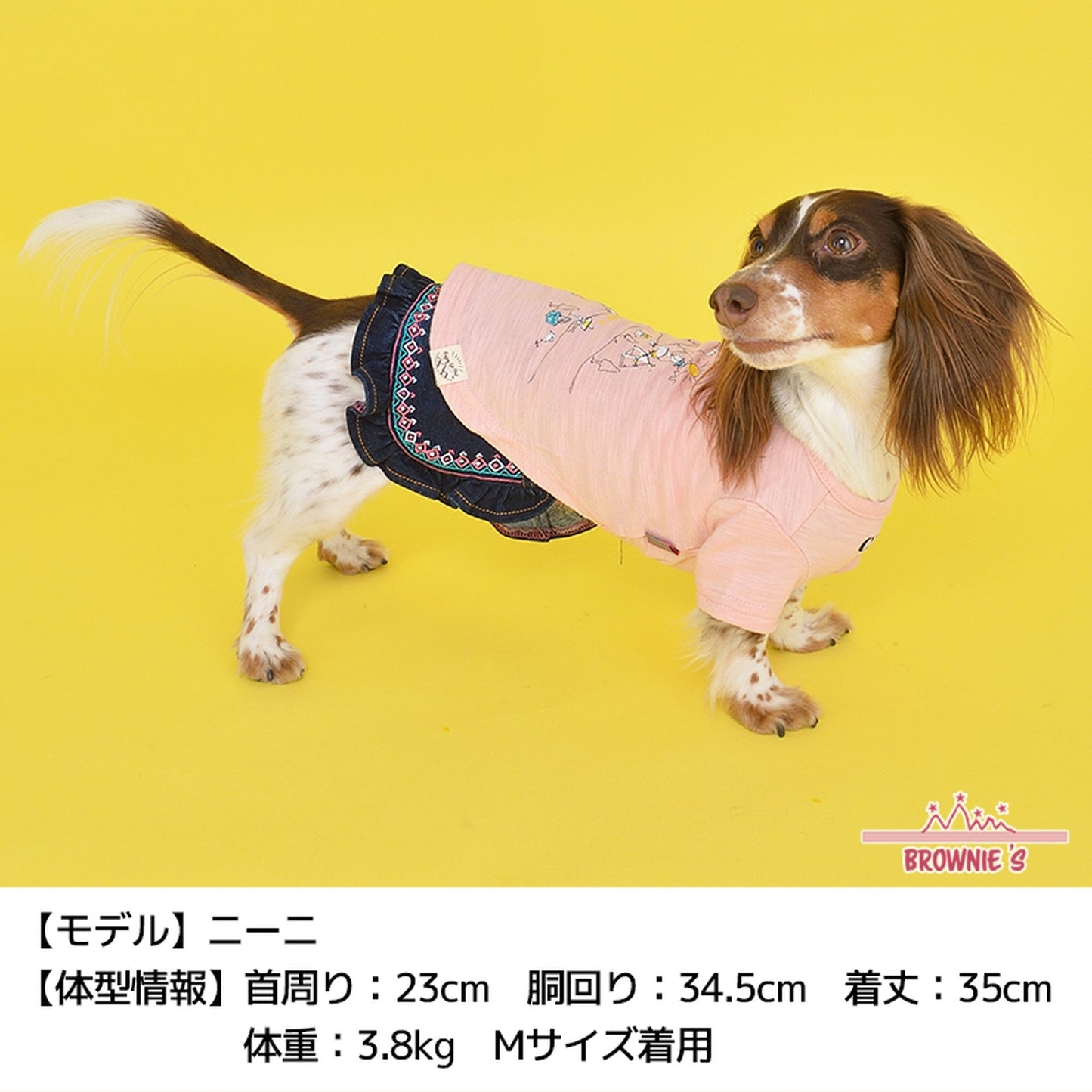 川でキャンプTシャツ S/M/L/2L/3L BROWNIE'S-ブラウニーズ- 犬服 ドッグウェア トイプードル チワワ ポメラニアン br151621-1 BR21SS