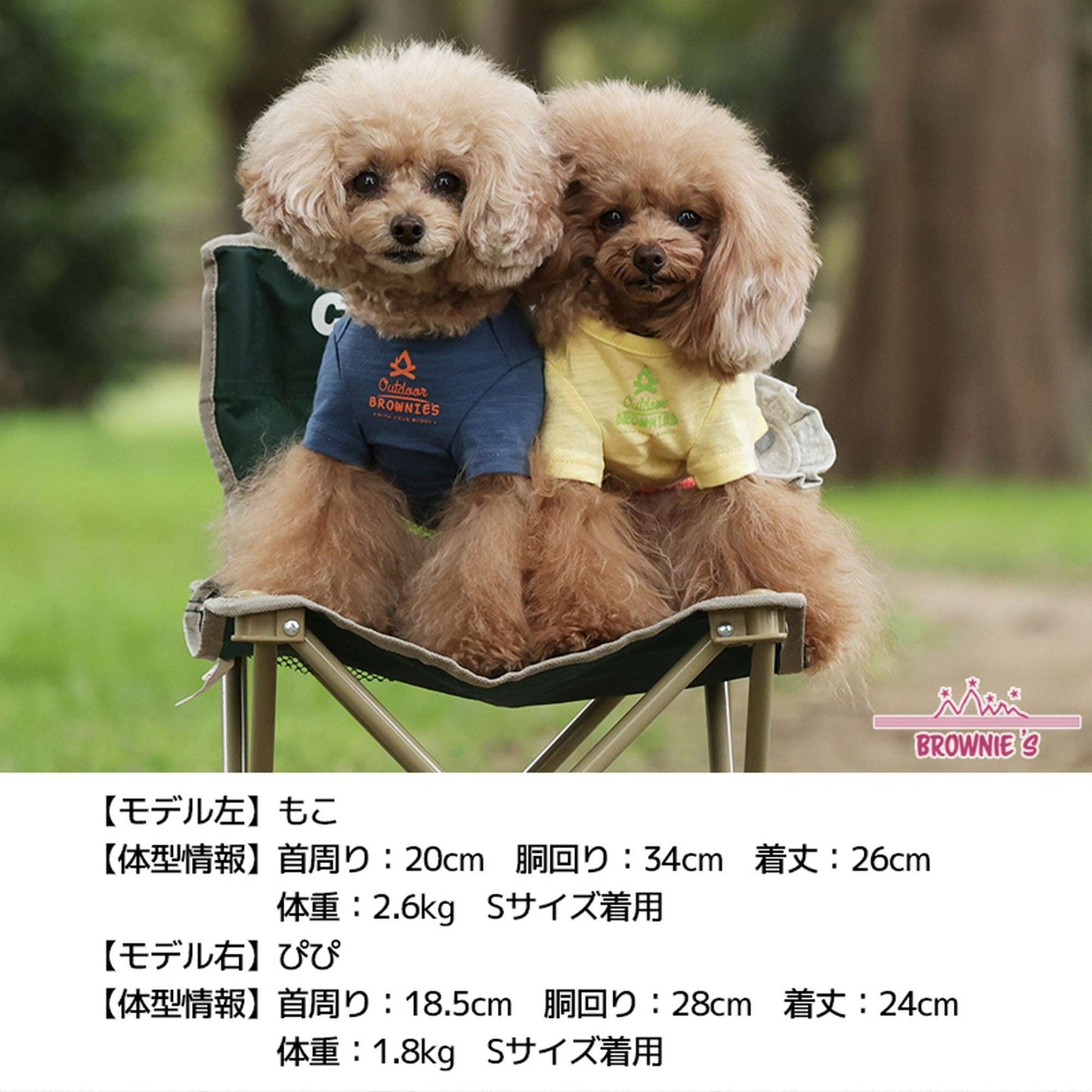 しろくまさんとドライブTシャツ S/M/L/2L/3L BROWNIE'S-ブラウニーズ- 犬服 ドッグウェア トイプードル チワワ ポメラニアン br151606-1 BR21SS