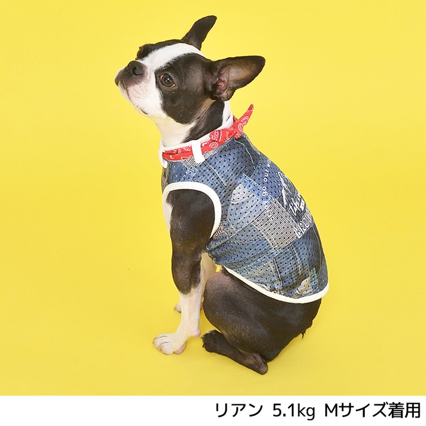 バンダナデニムメッシュタンク S/M/L/2L/3L BROWNIE'S-ブラウニーズ- 犬服 ドッグウェア トイプードル チワワ ポメラニアン br151620-1 BR21SS
