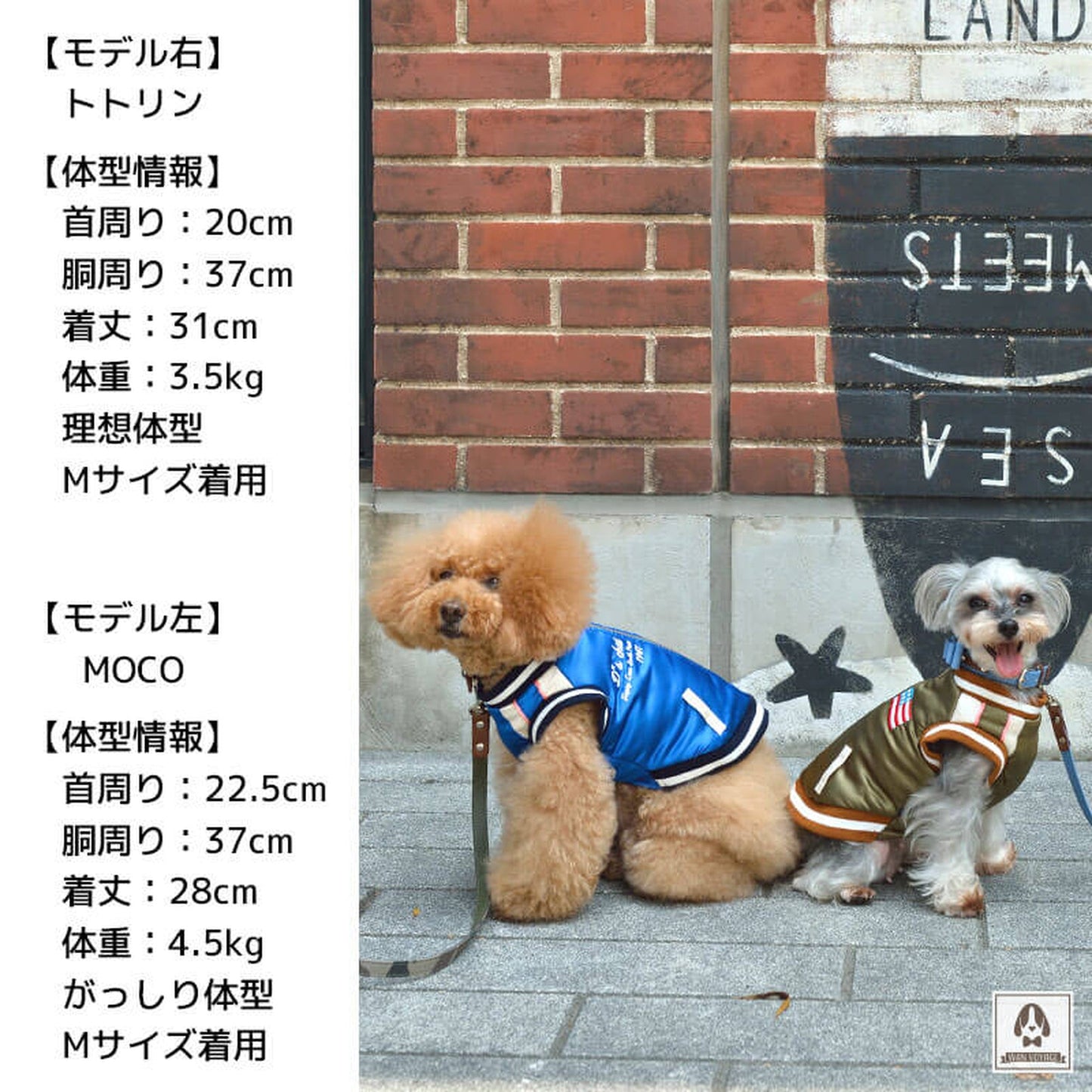 背開きアメリカンスカジャン 犬服 ドッグウェア XL/XXL/DS/DM/DL/FB ワンボヤージュ ディーズチャット トイプードル チワワ ダックス DS20AW ds142070-2