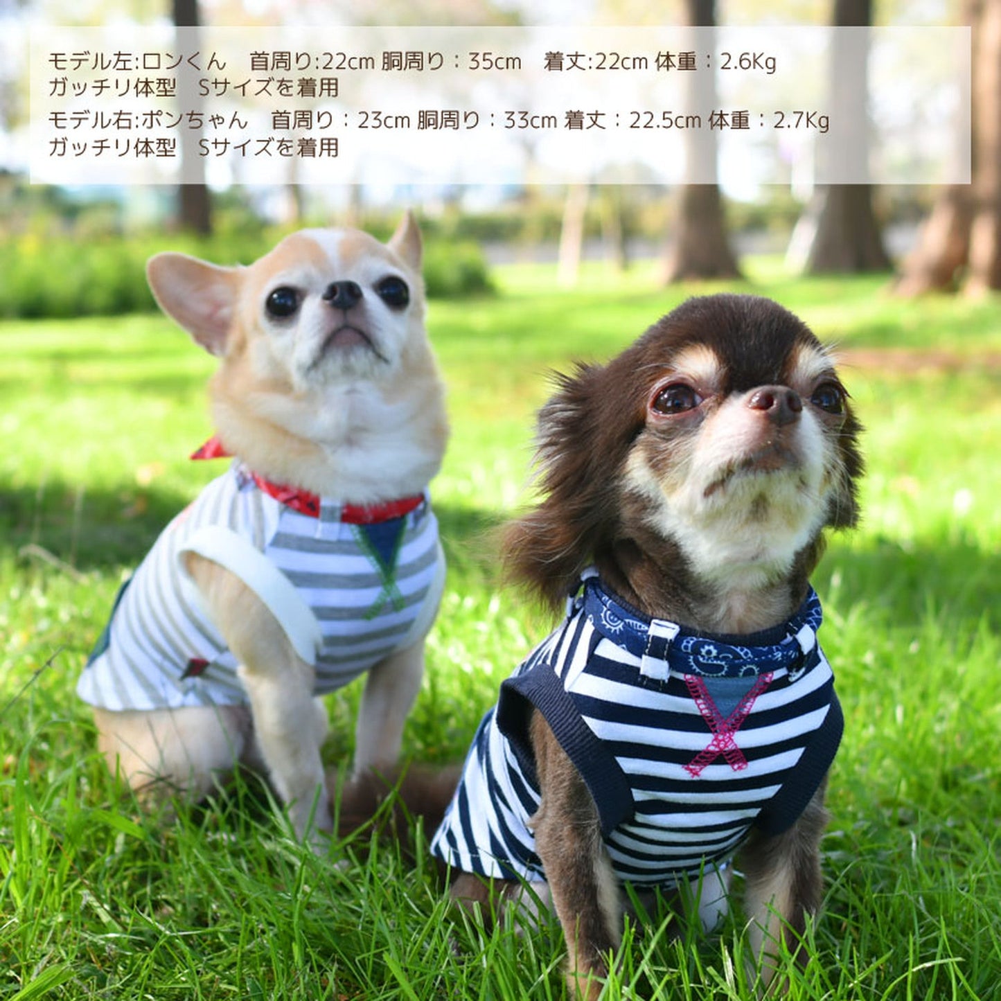 バンダナタンクトップ 犬服 ドッグウェア S/M/L/XL/XXL ワンボヤージュ ブラウニーズ トイプードル チワワ ダックス br131551-1