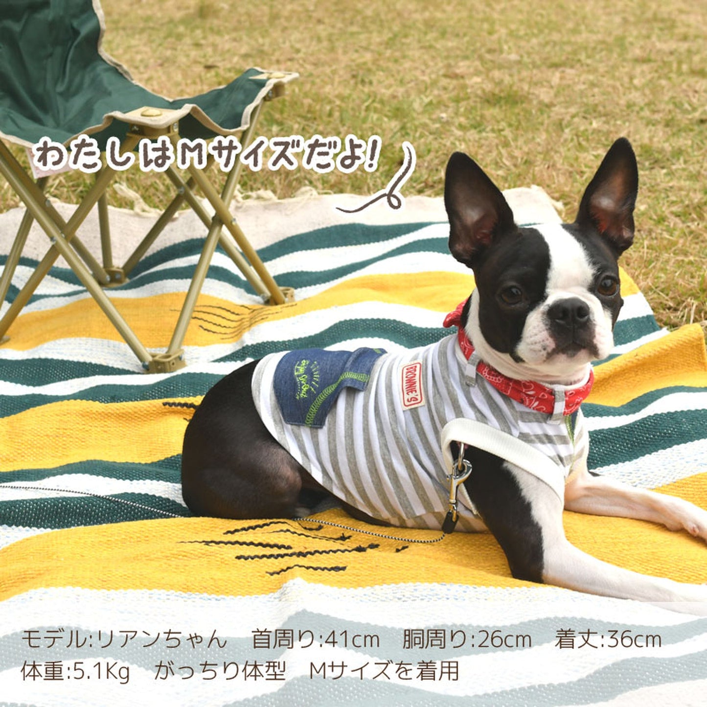 バンダナタンクトップ 犬服 ドッグウェア S/M/L/XL/XXL ワンボヤージュ ブラウニーズ トイプードル チワワ ダックス br131551-1
