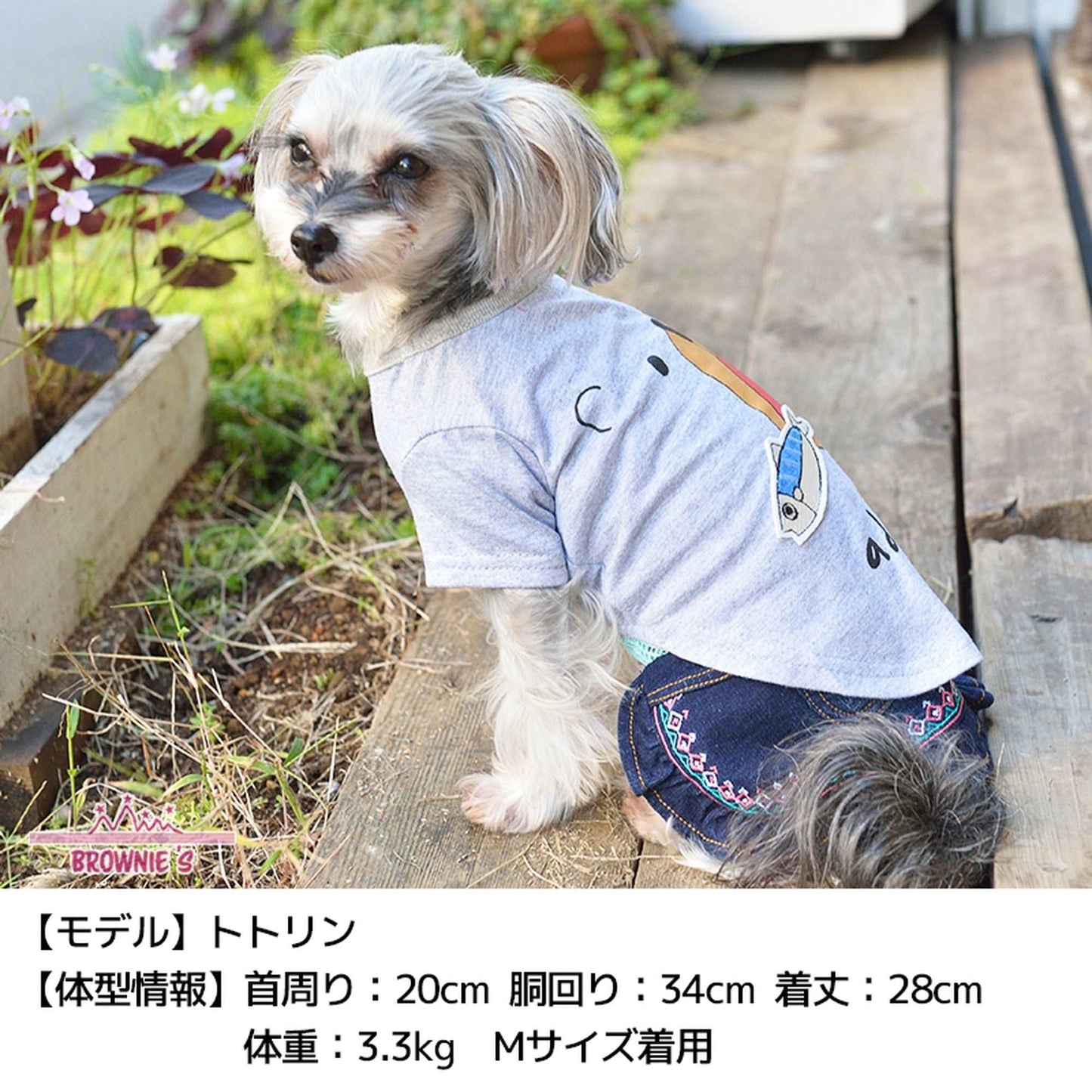 お魚とくまさんTシャツ S/M/L/2L/3L BROWNIE'S-ブラウニーズ- 犬服 ドッグウェア トイプードル チワワ ポメラニアン br151622-1 BR21SS