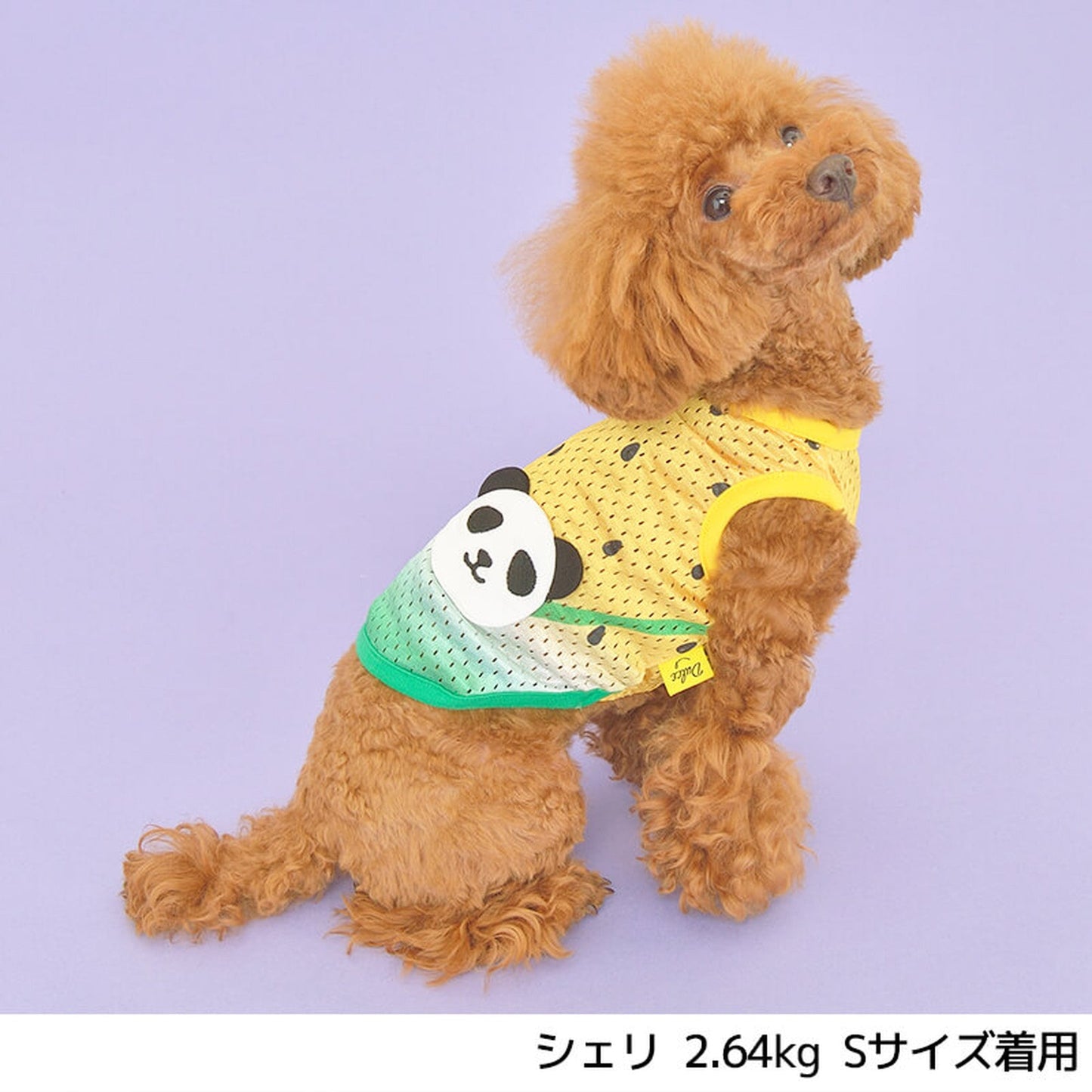 アニマルポーチメッシュタンク S/M/L/XL Dulce-ドゥルチェ- 犬服 ドッグウェア トイプードル チワワ ポメラニアン DU22SS du161065-1