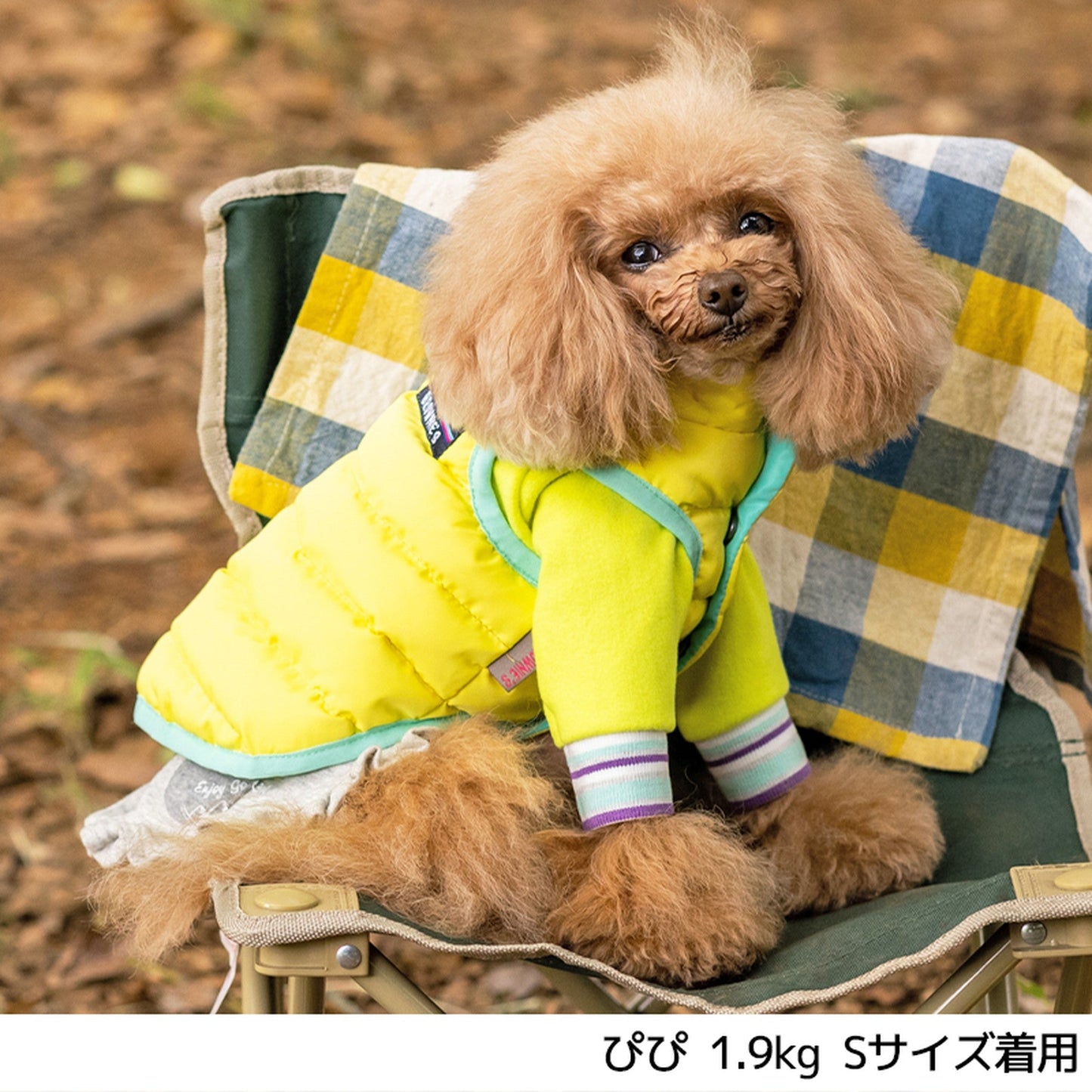 ポーチ付き中綿コート S/M/L/XL/XXL BROWNIE'S-ブラウニーズ- 犬服 ドッグウェア トイプードル チワワ ポメラニアン BR21AW br152651-1