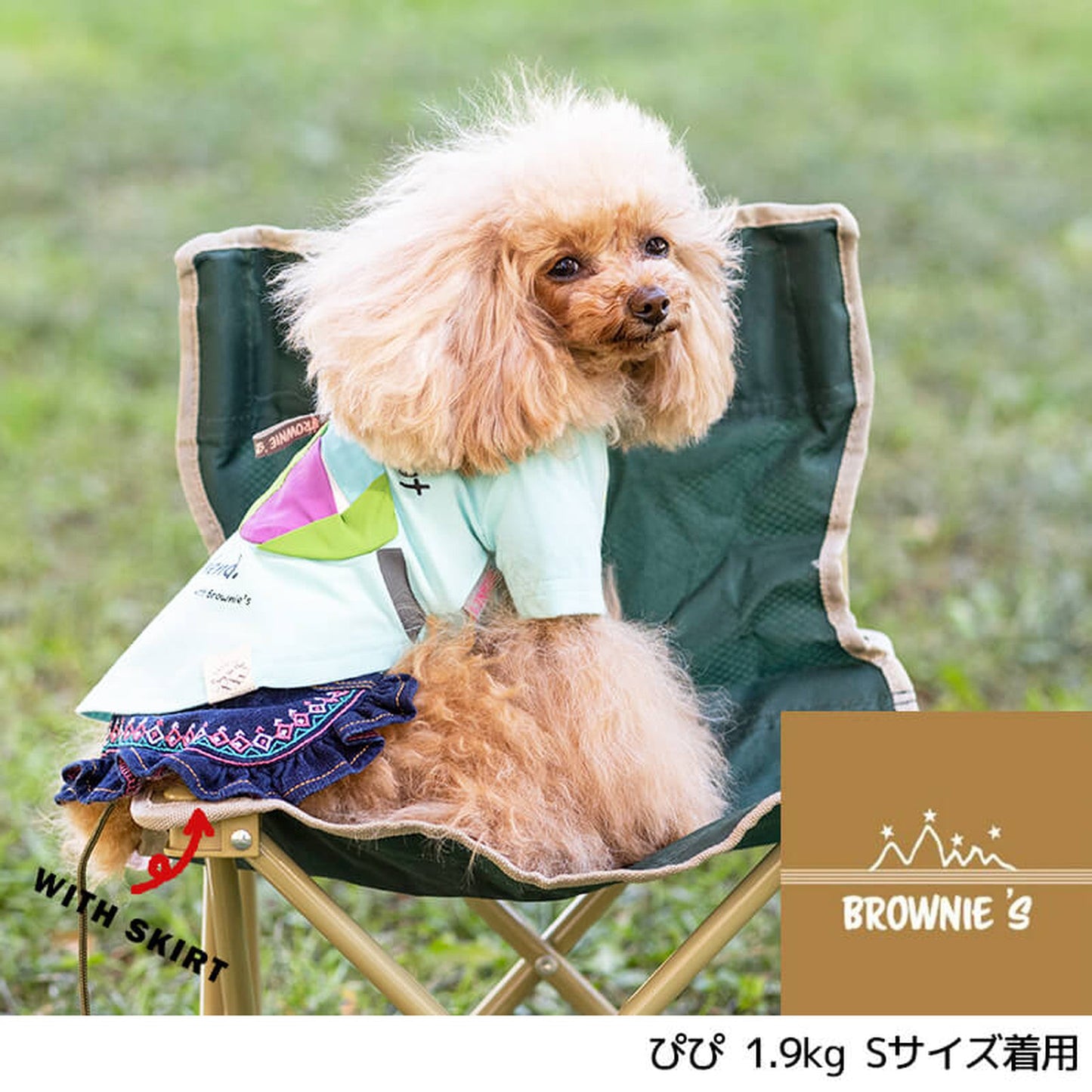 カラフルバッグTシャツ S/M/L/XL/XXL BROWNIE'S-ブラウニーズ- 犬服 ドッグウェア トイプードル チワワ ポメラニアン BR22SS br161674-1