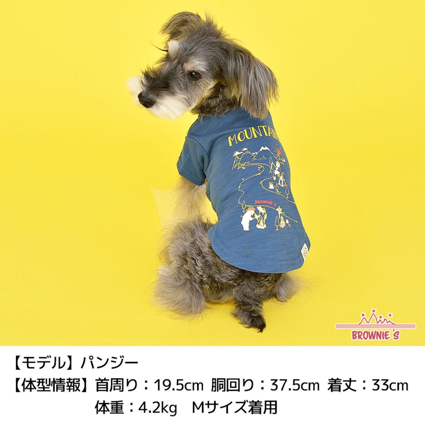 川でキャンプTシャツ S/M/L/2L/3L BROWNIE'S-ブラウニーズ- 犬服 ドッグウェア トイプードル チワワ ポメラニアン br151621-1 BR21SS