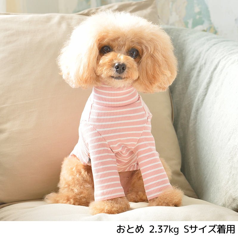 JE241 ボーダーロング袖 XS/S/M/L/XL/XXL/DS/DM Jekyll Egg-ジキルエッグ- 犬服 長袖 ドッグウェア トイプードル チワワ ポメラニアン JE21AW je151241-1