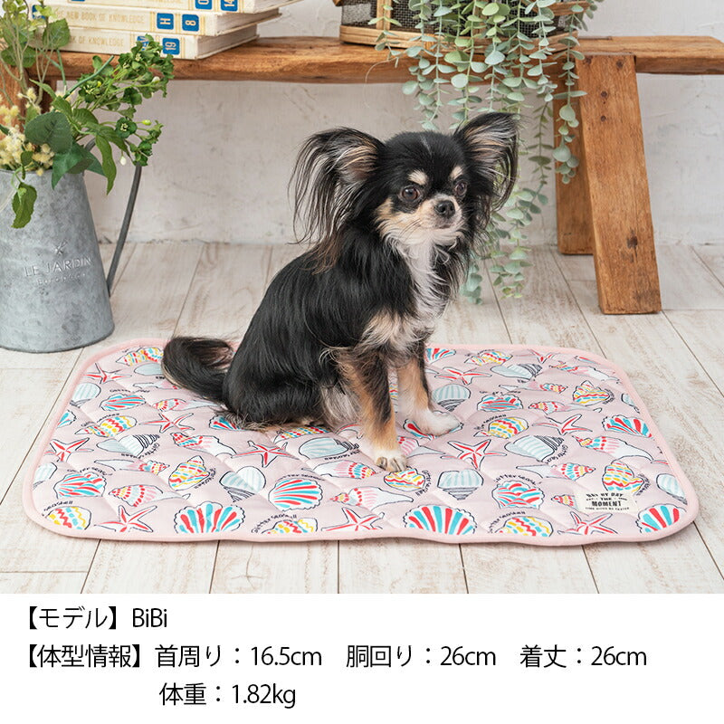 シェルクールマット F Solgra-ソルグラ- 犬用 クールベッド トイプードル チワワ ポメラニアン SO23SS so165142-1