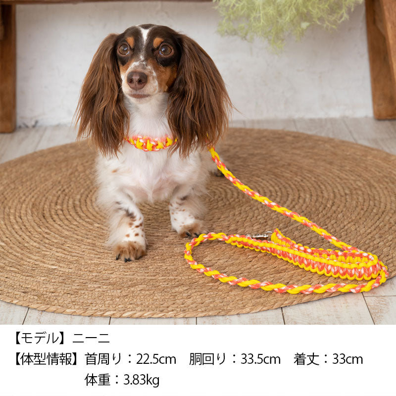 バイカラーコードリード Free Solgra-ソルグラ- 犬用 リード トイプードル チワワ ポメラニアン SO22AW so169199-1